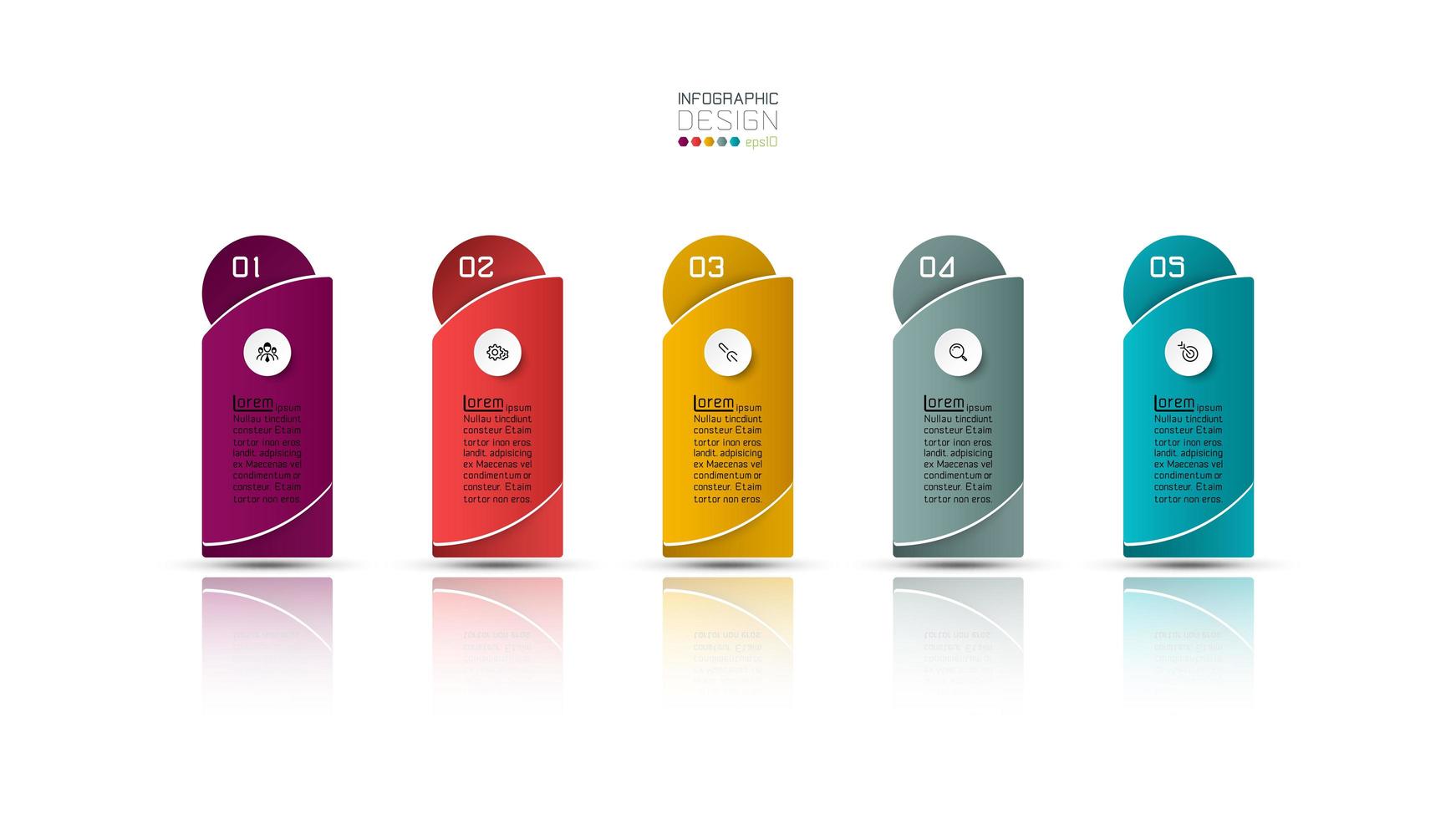 5 option colorful business infographic design  vector