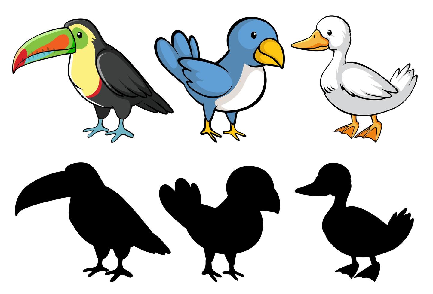 pájaros en color y sombra vector