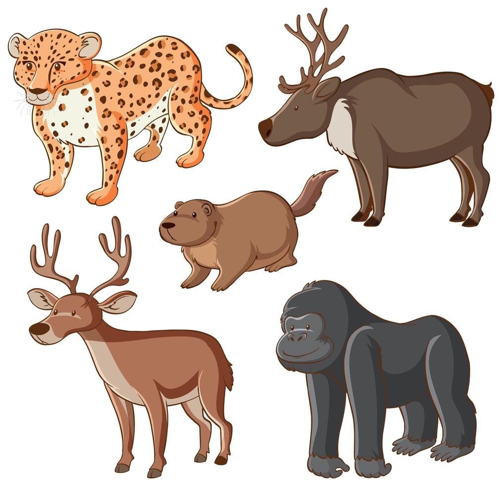 Isolated picture of five wild animals vector