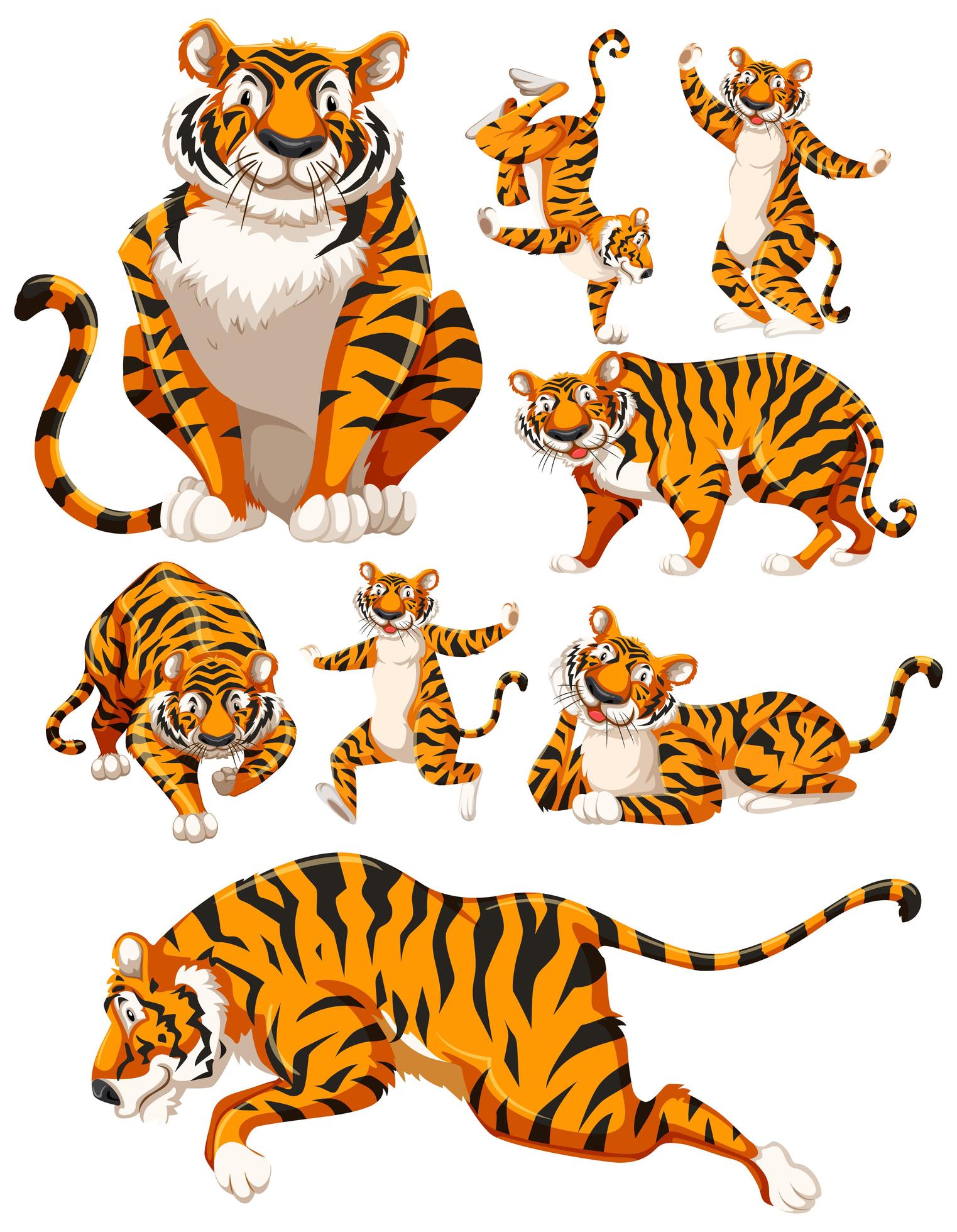 A collection of tiger characters 1235369 Vector Art at Vecteezy