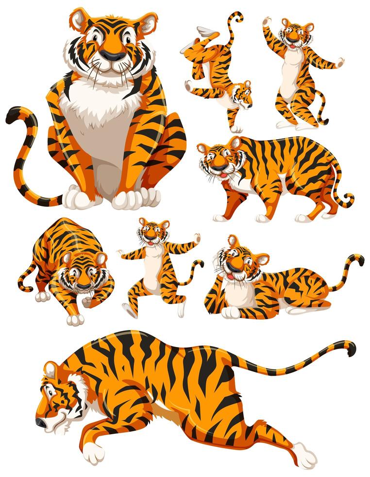 una colección de personajes de tigre vector