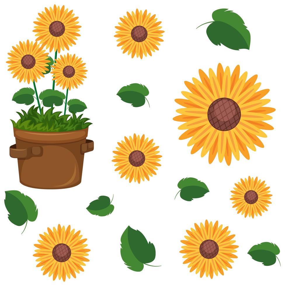 Set of cute sunflower plants vector