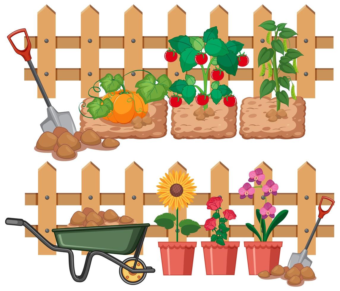 Vegetables and flowers growing in the garden vector
