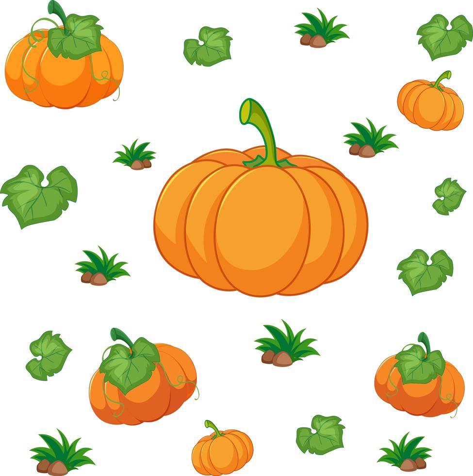 Seamless pattern with pumpkins vector