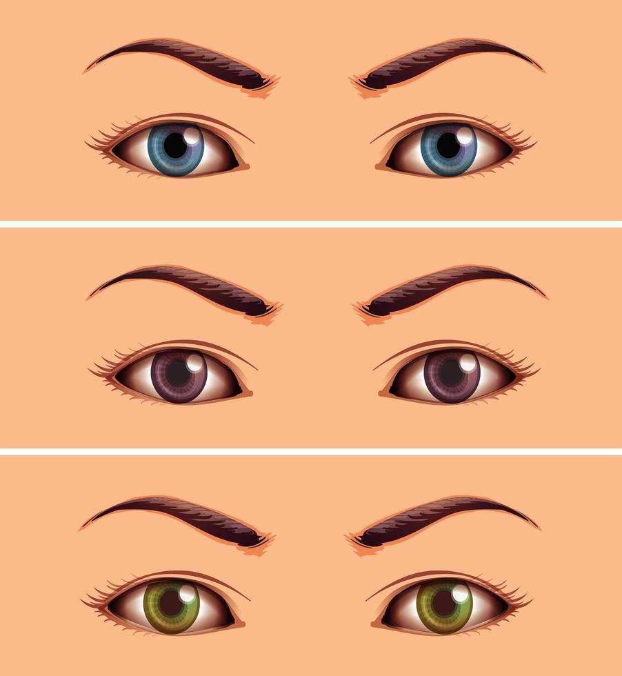 Close up set of human eye area vector