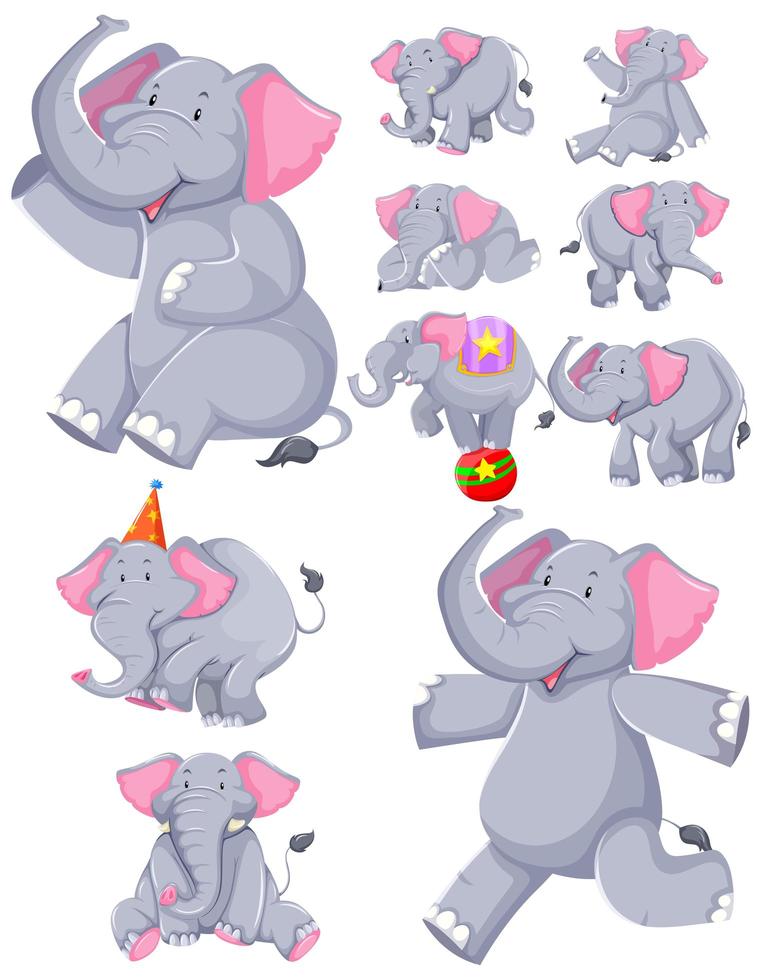 Set of dancing elephant cartoons  vector