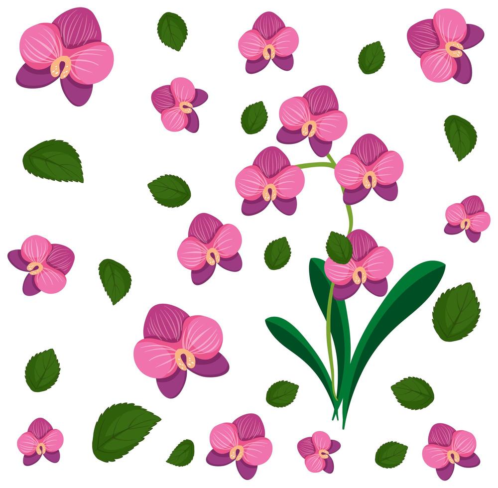 Set of orchids flower and leaves vector