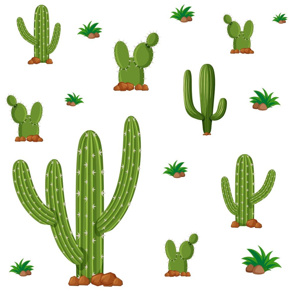 Seamless design with green cactus plants vector