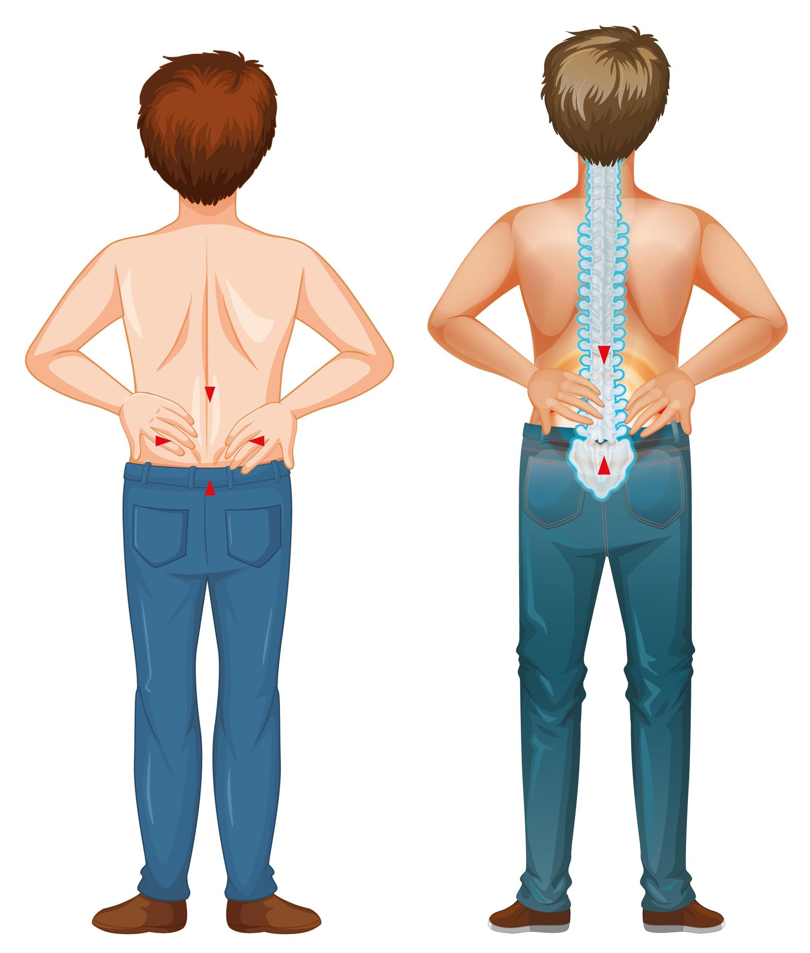 Men showing pain spot in the back 1235757 Vector Art at Vecteezy