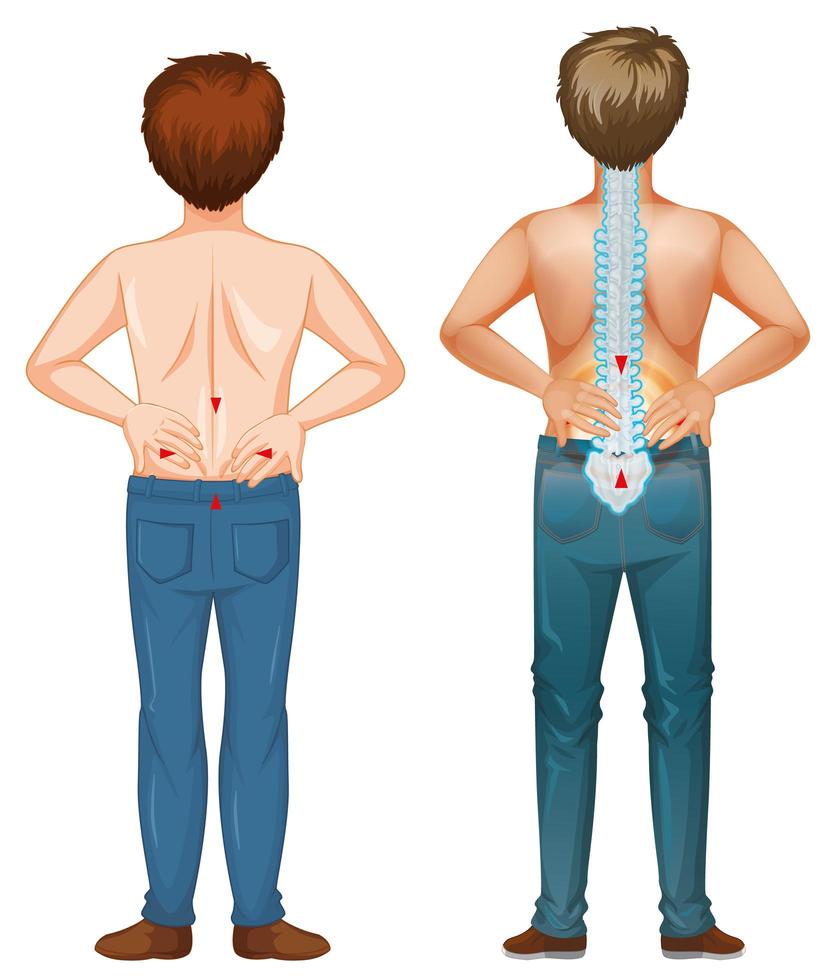 Men showing pain spot in the back vector