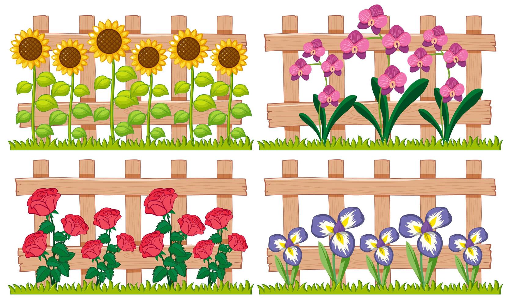 Different types of flowers in the garden vector