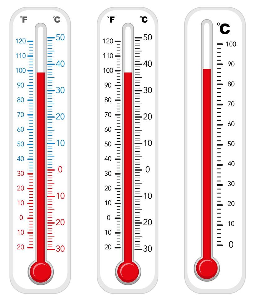 termómetros con diferentes grados vector