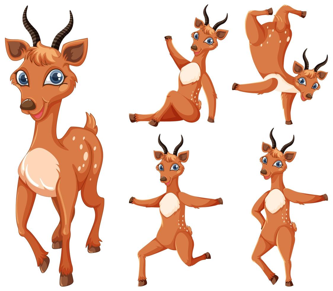 Set of gazelle cartoon characters vector