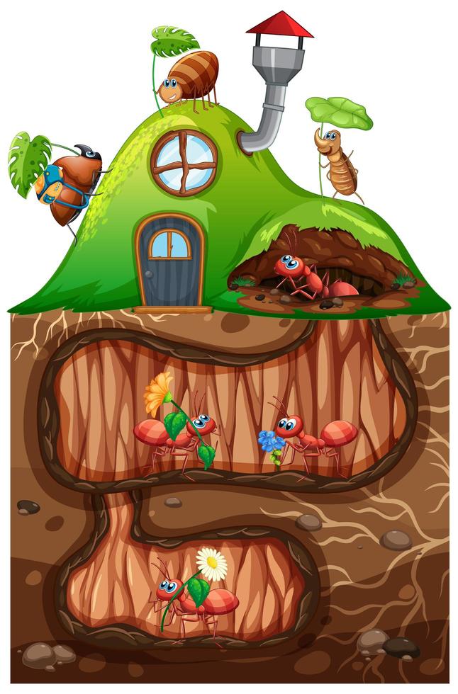 Scene with ants living underground in the garden vector