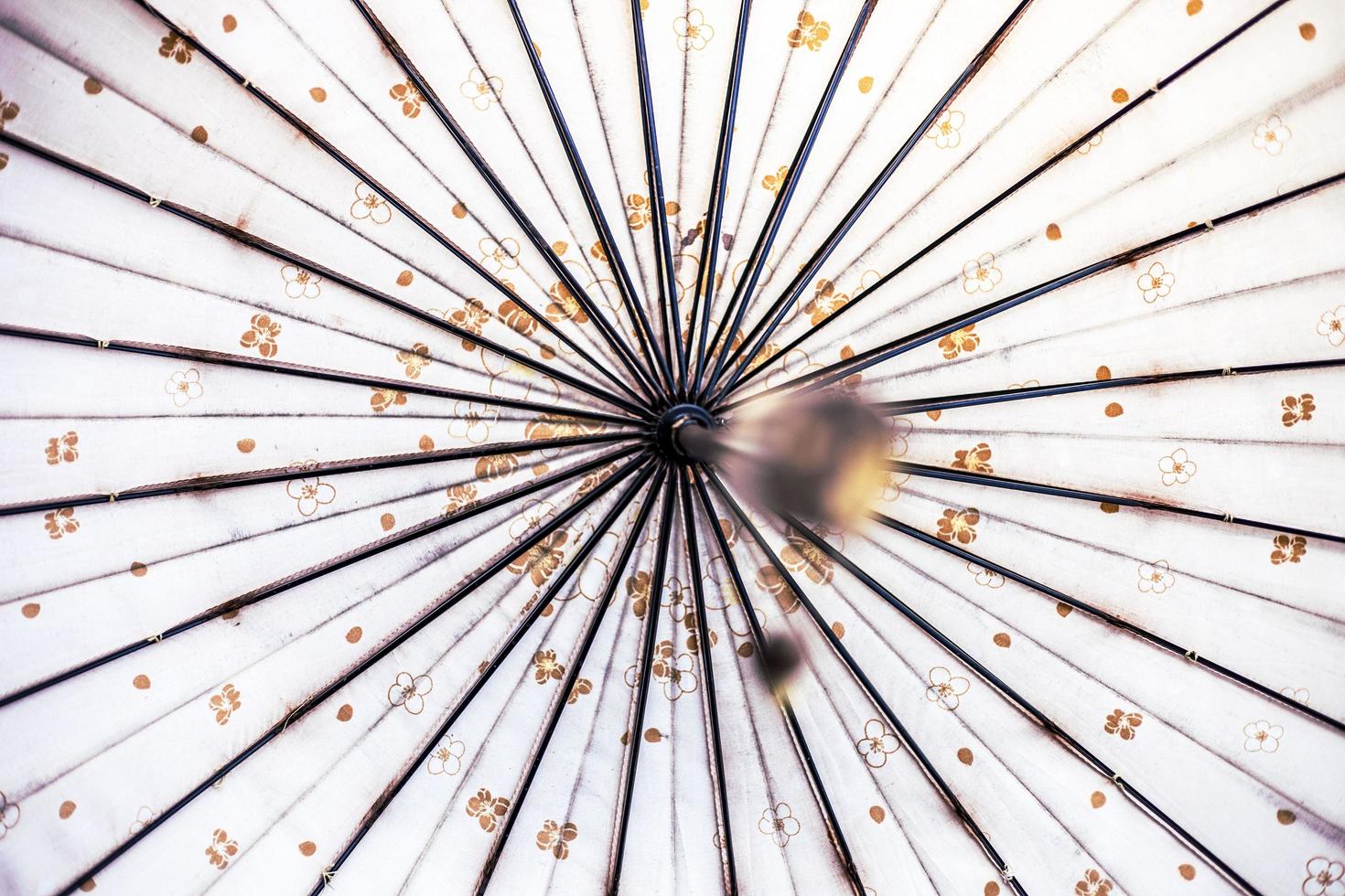 White umbrella with floral patterns photo