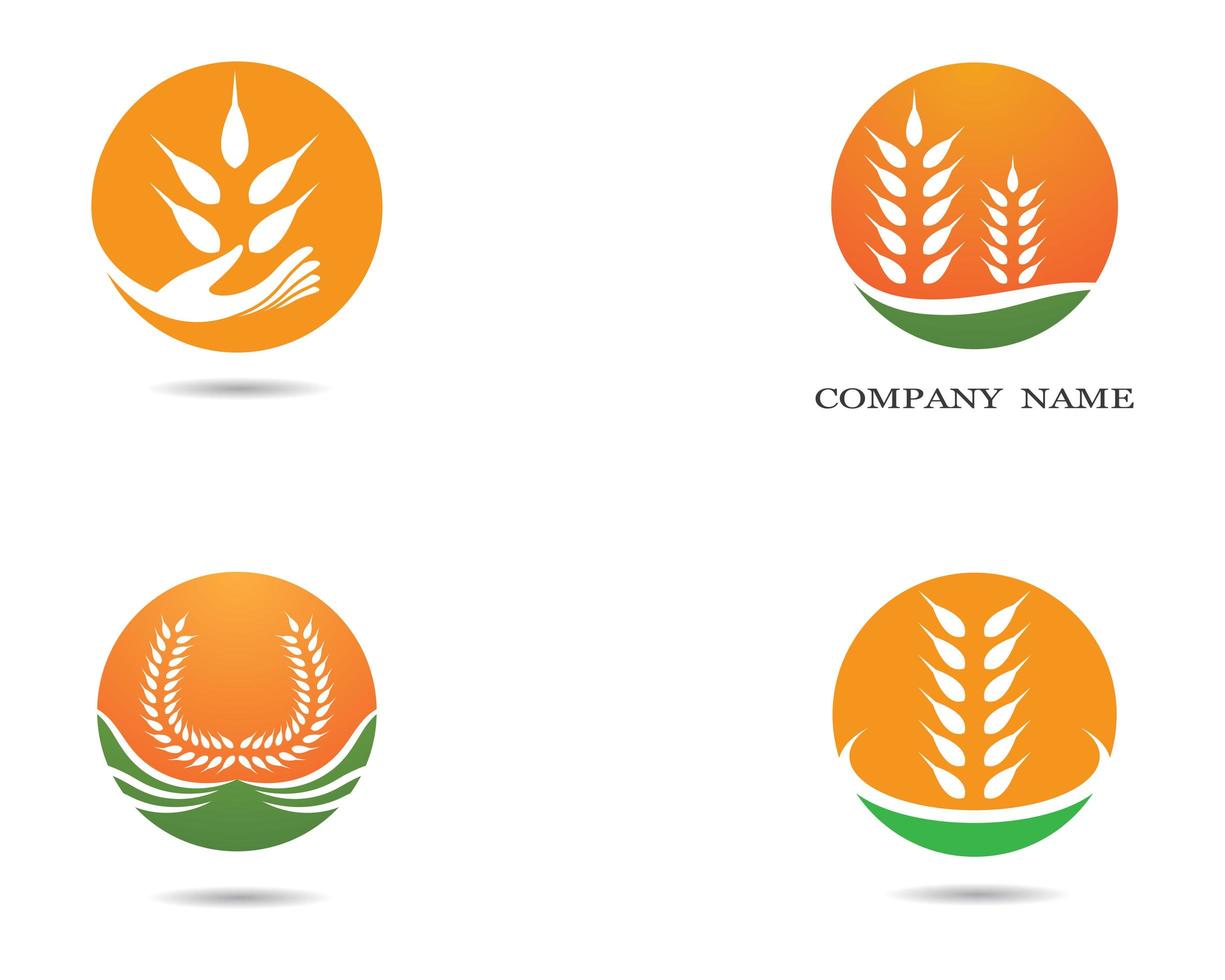 Wheat Symbol Icons vector