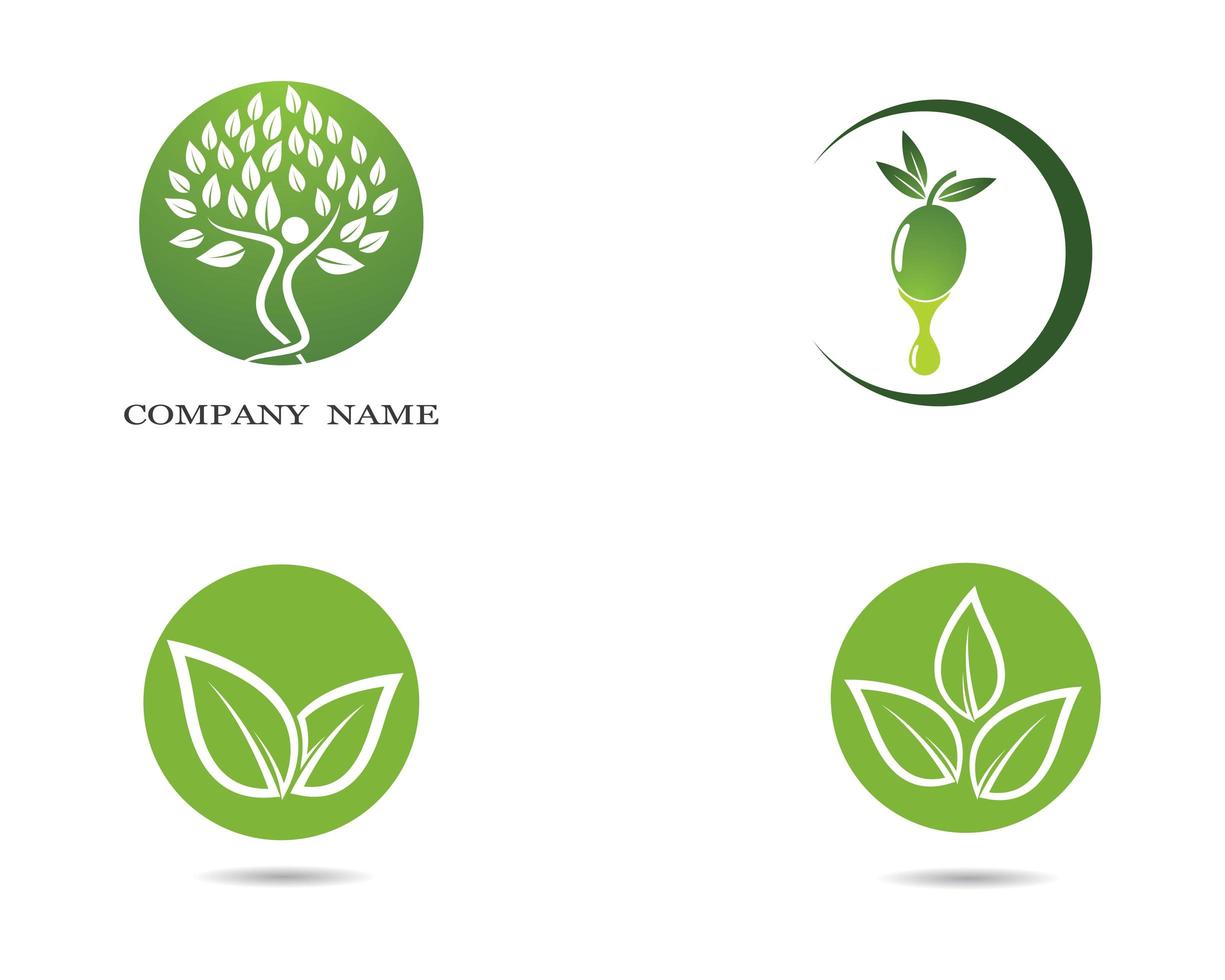 Green Leaf Ecology Icons Set vector