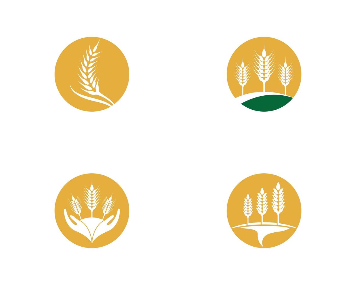 icono de logotipo de agricultura de trigo y grano conjunto redondo vector