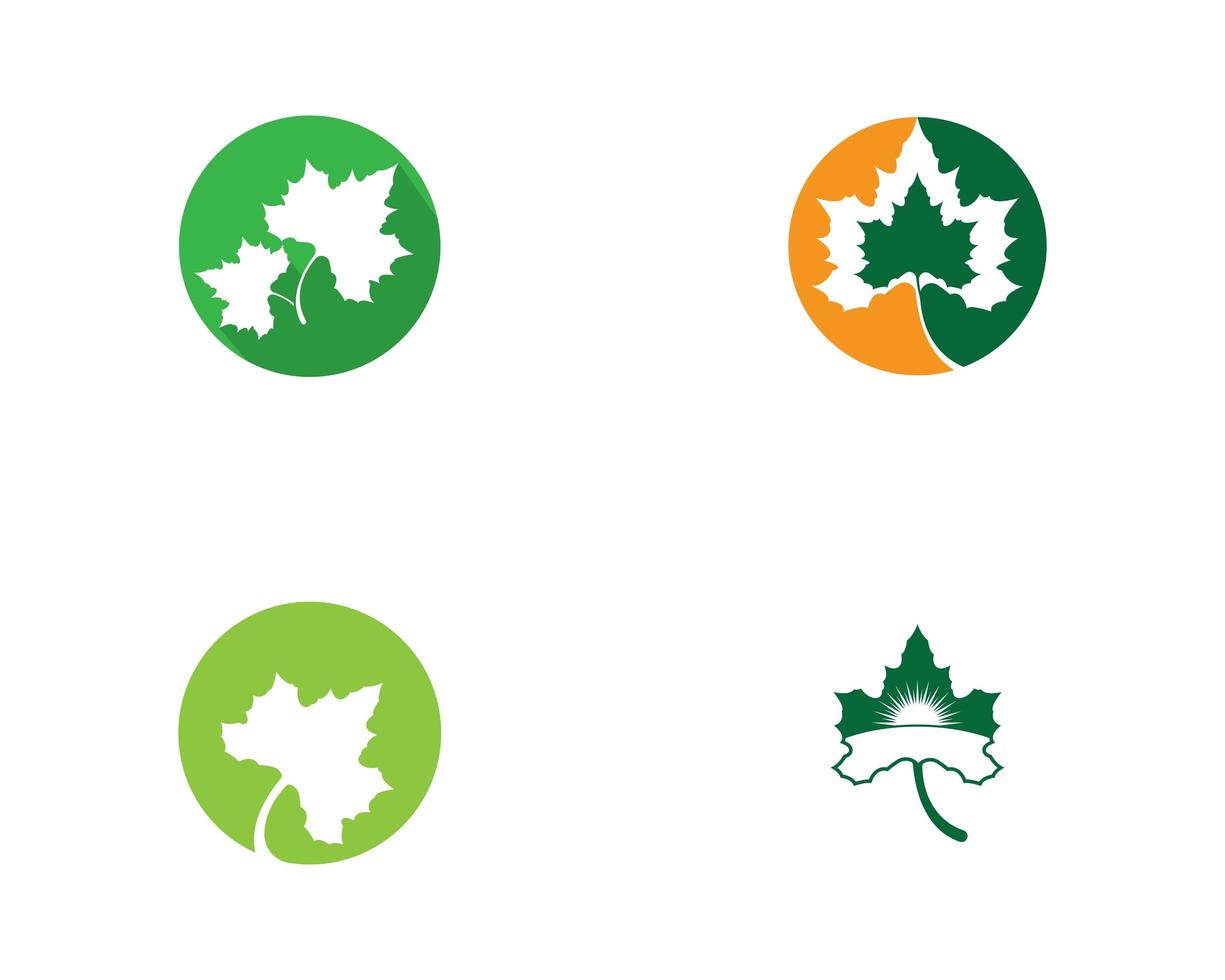 Maple leaf logo icon set vector