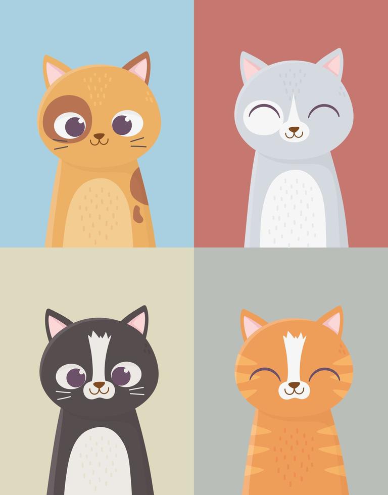 Four cats card vector