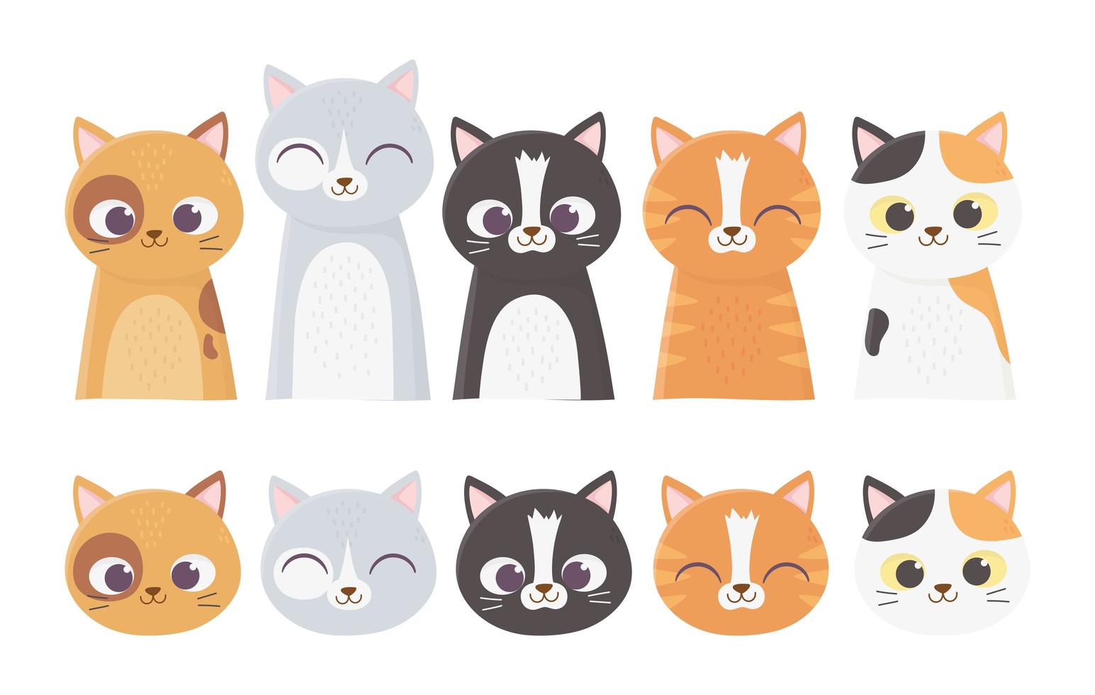 caras de gatos surtidos vector