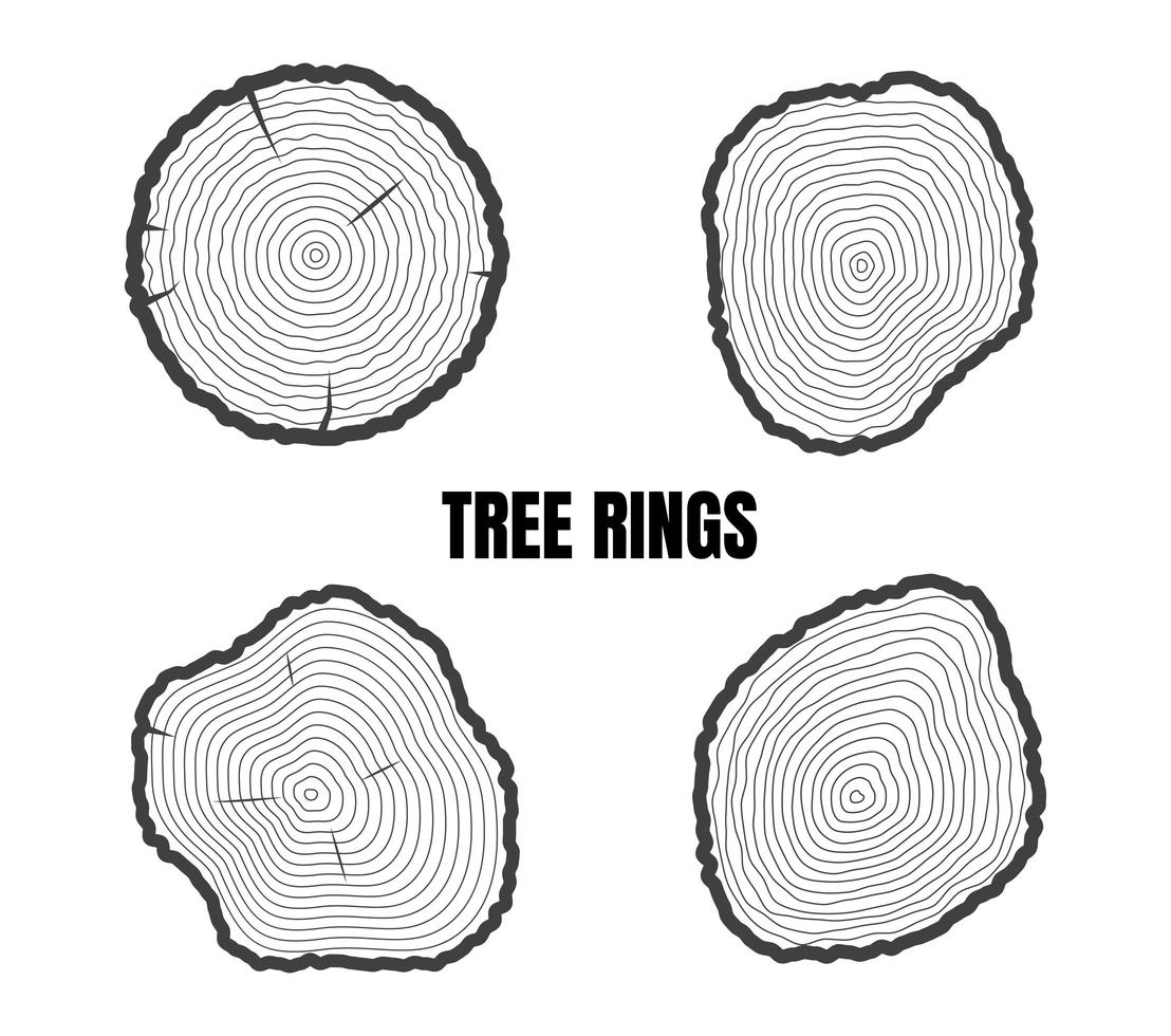 Tree rings set vector