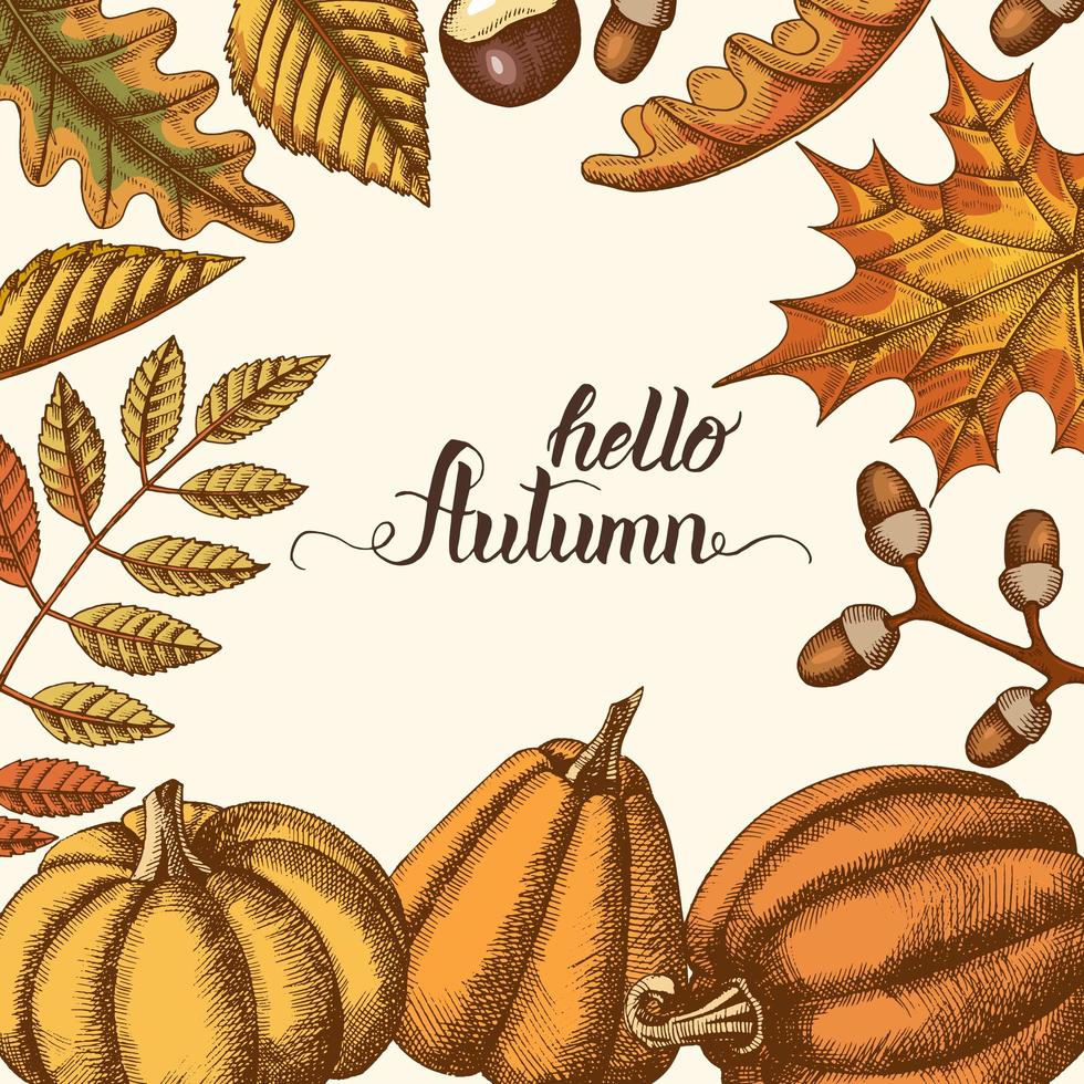 fondo de otoño con hojas dibujadas a mano y calabazas vector