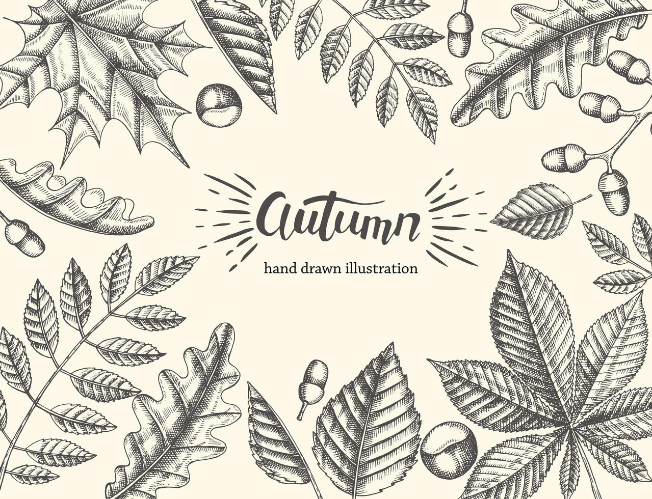 Beautiful autumn leaves on a light background vector