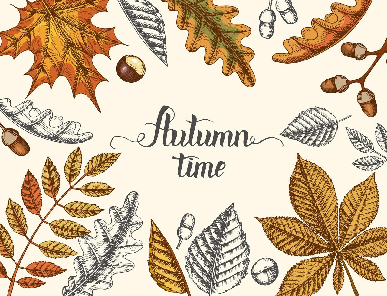 Cute autumn time calligraphy lettering with vintage leaves vector