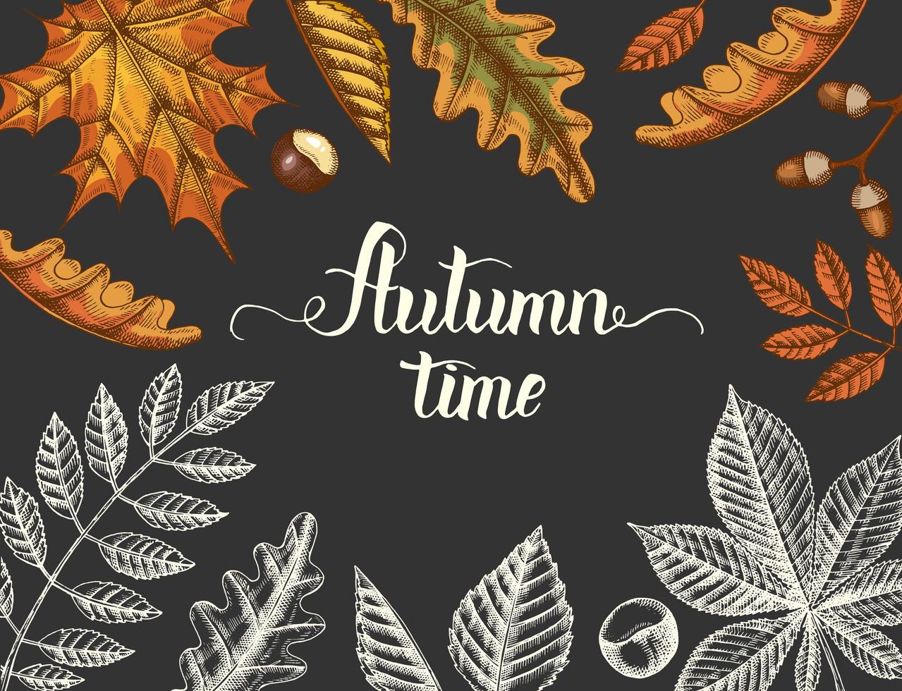 Vintage Autumn background with hand drawn leaves vector