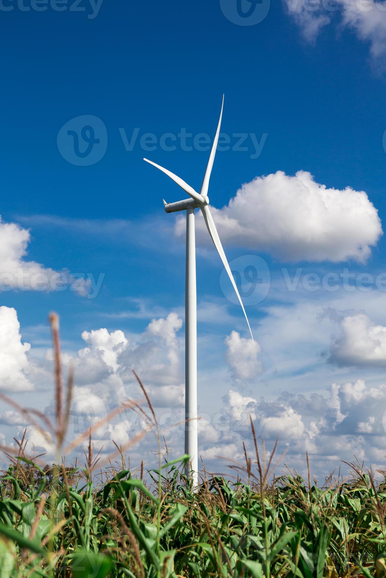 Wind Turbine Farm photo