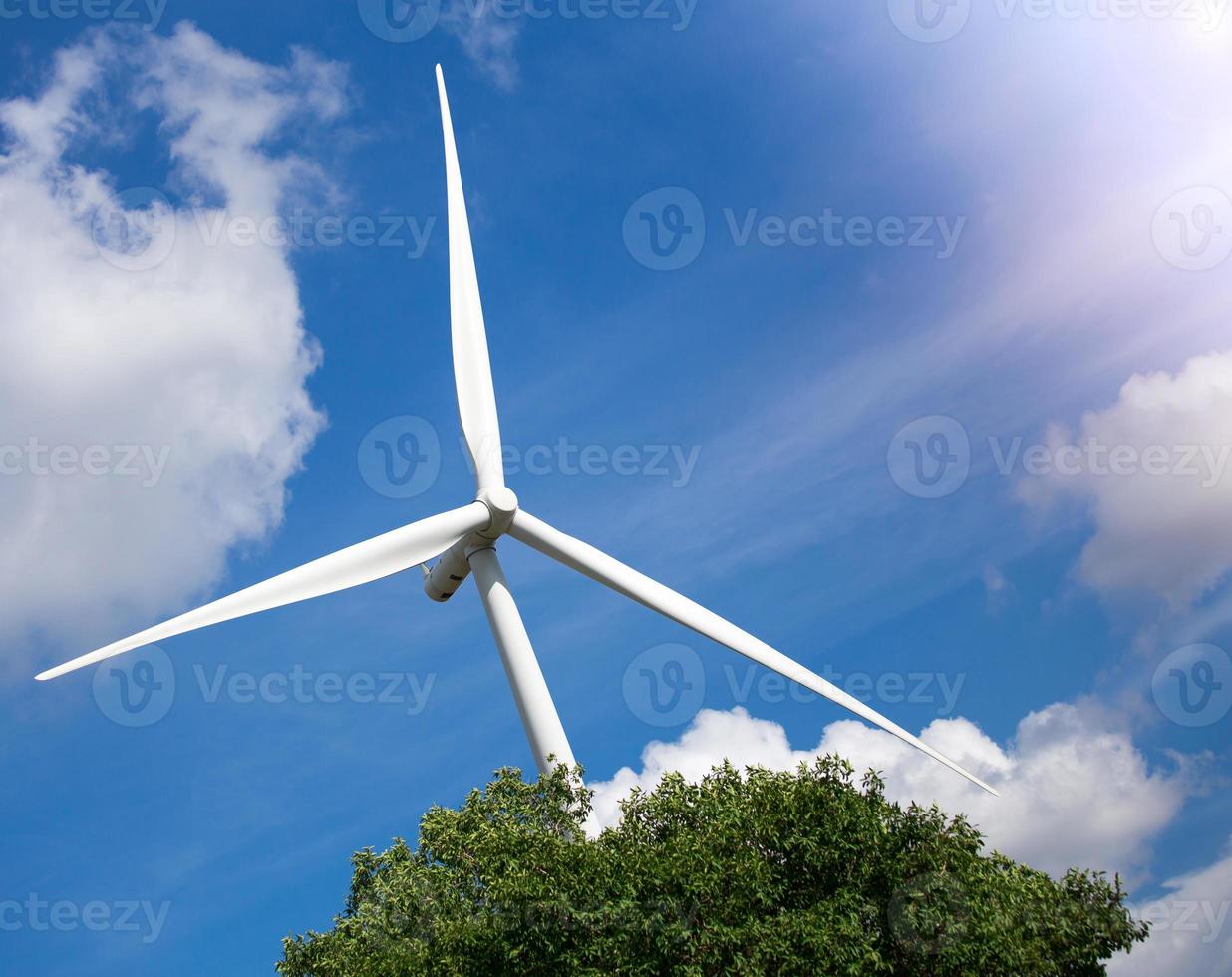 Wind Turbine Farm with Sunlight photo