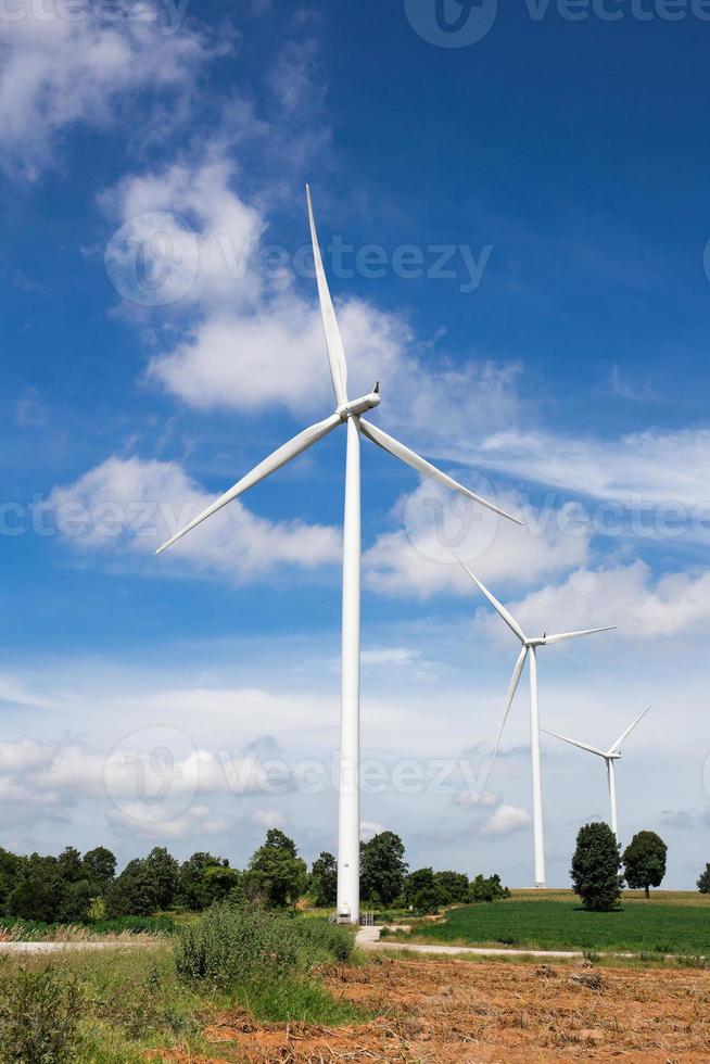 Wind Turbine Farm photo