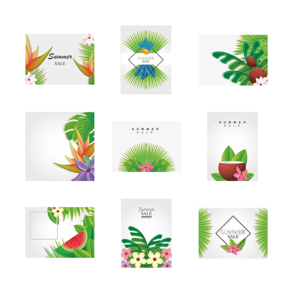 Set of summer templates and flowers vector