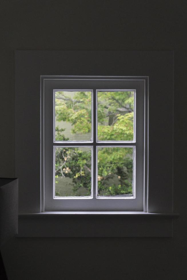 árbol visto a través de la ventana blanca cerrada foto