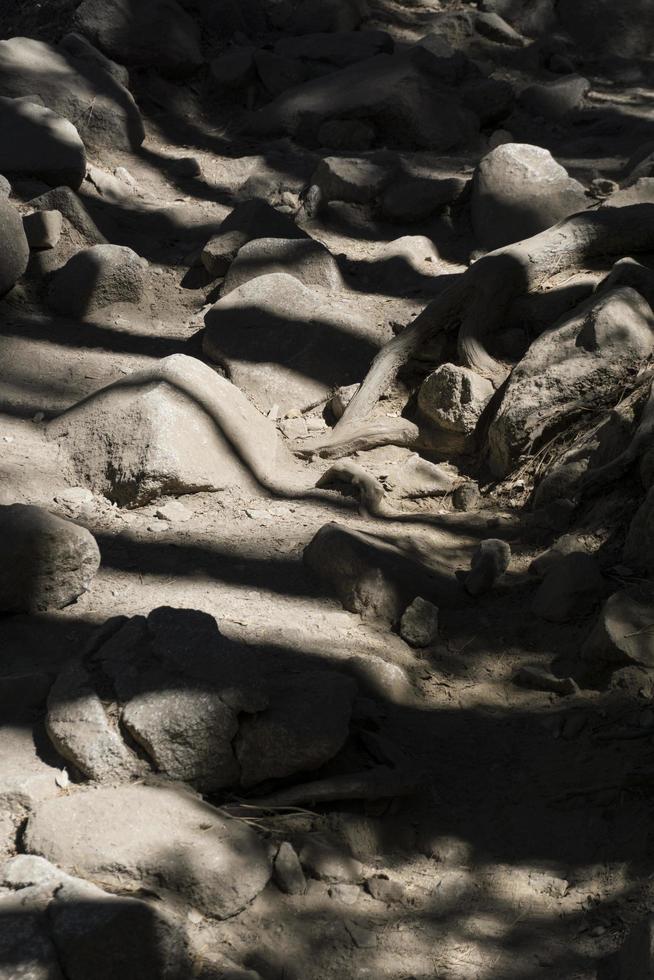 Light and shadows on rocky path photo