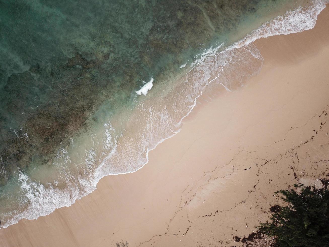 fotografía aérea de la orilla del mar foto