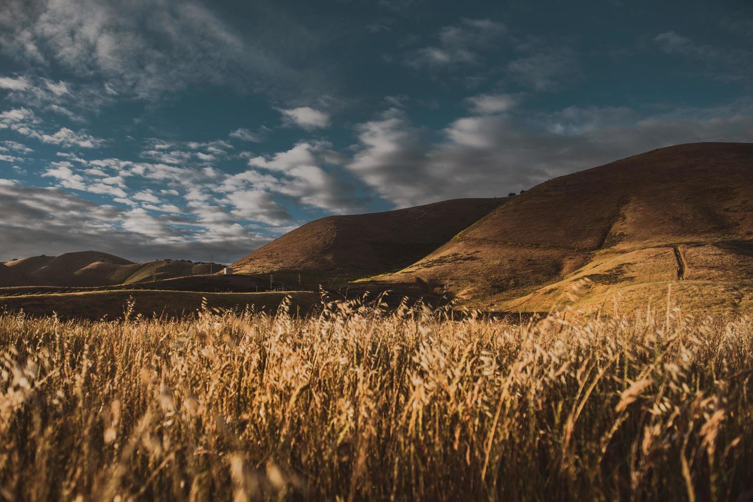 campo de hierba cerca de la montaña bajo un cielo azul foto