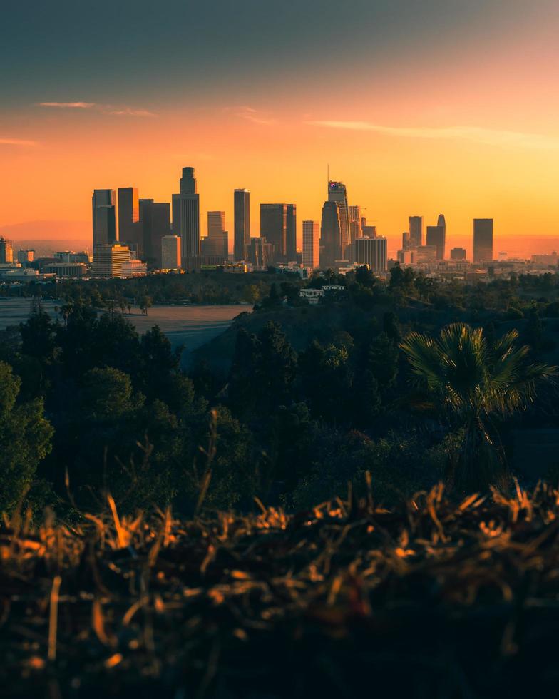 City skyline during sunset photo