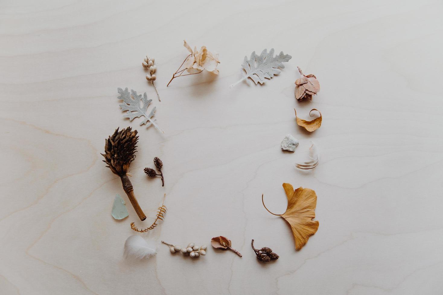 Flat lay photogprapy of leaves photo