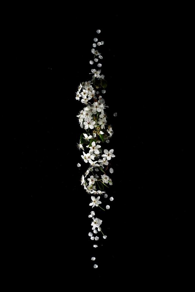 Vertical white flower arrangement  photo