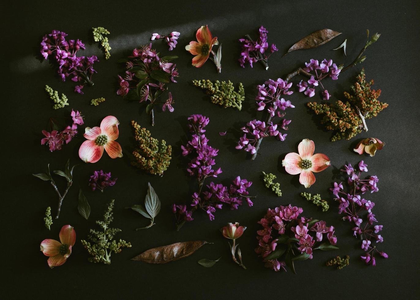 Purple and white flowers photo