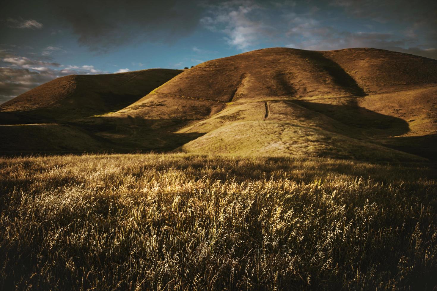 Grassy hill at sunset photo