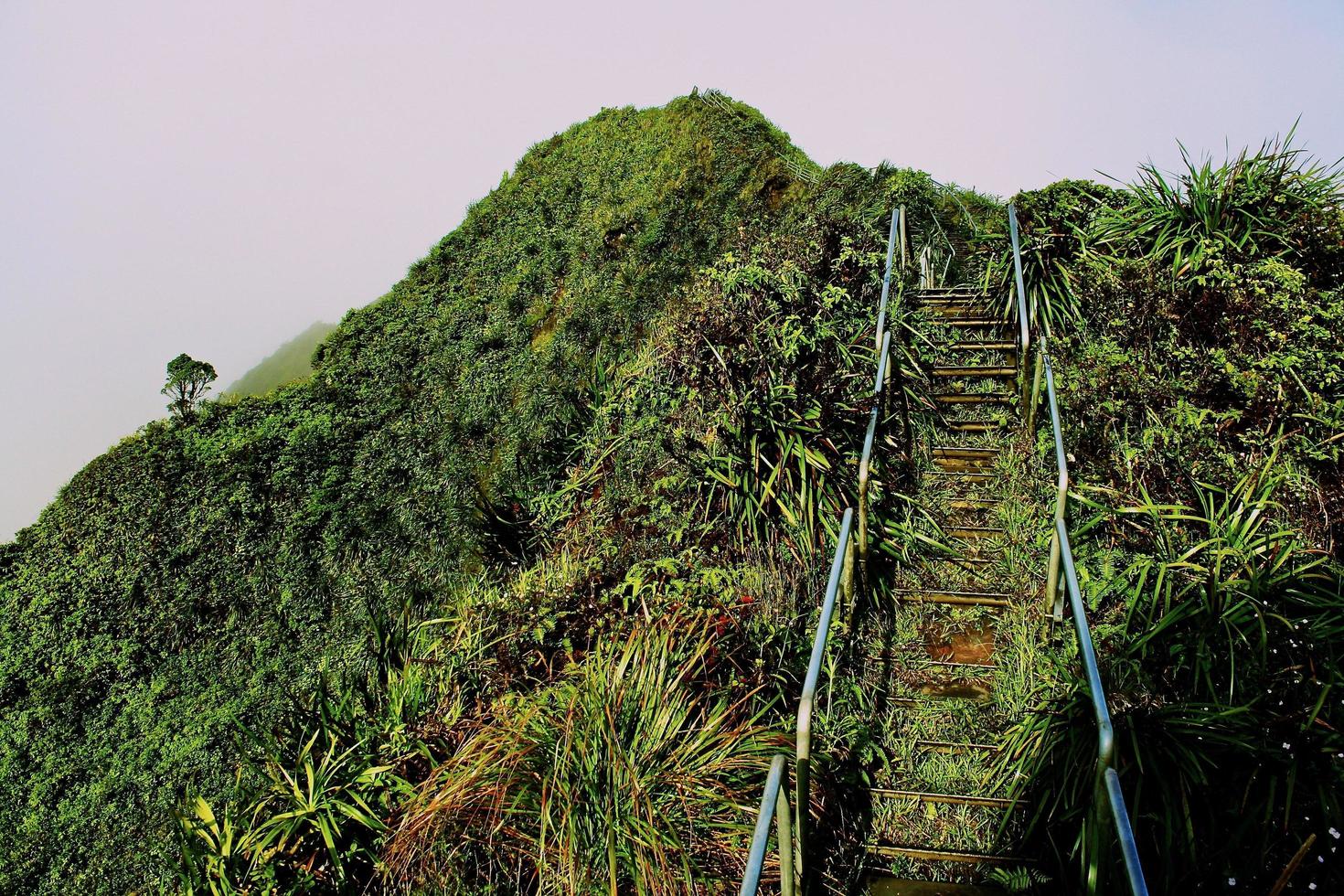 Steps going up a hill photo