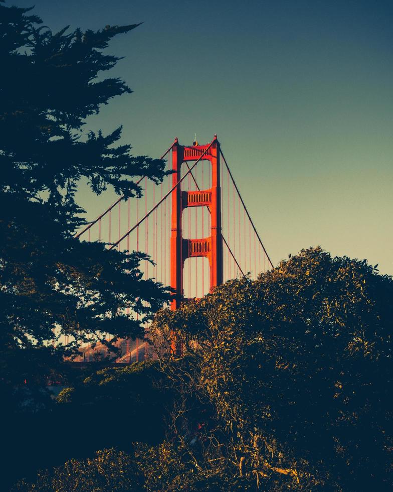 Golden Gate Bridge during sunset photo