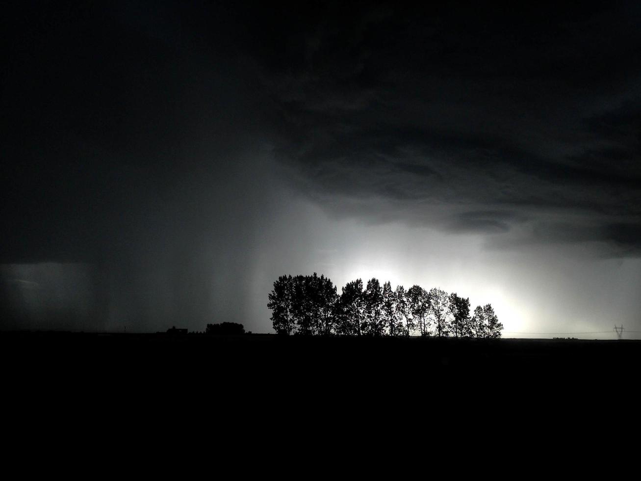 Silhouette of trees photo