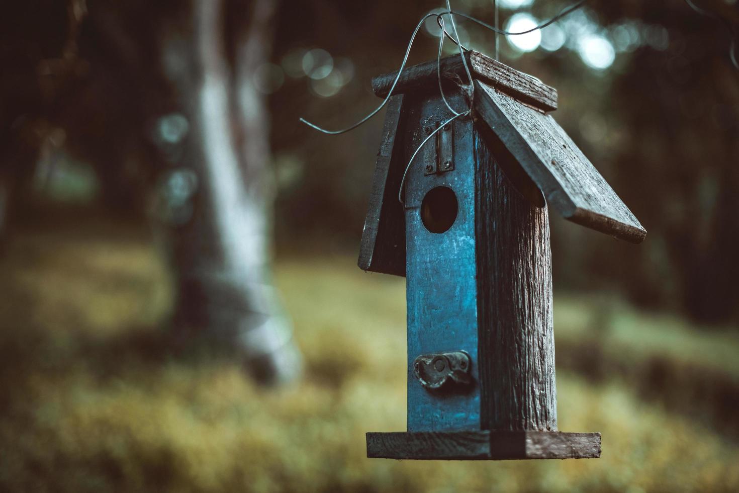 Close-up of blue birdhouse photo