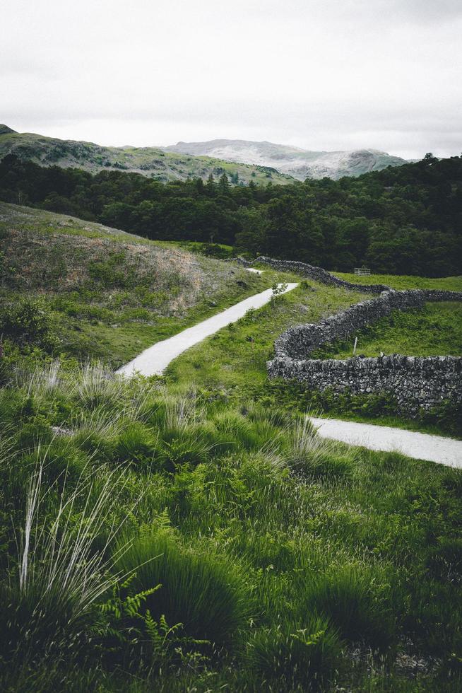 Paved pathway near grass and plants photo