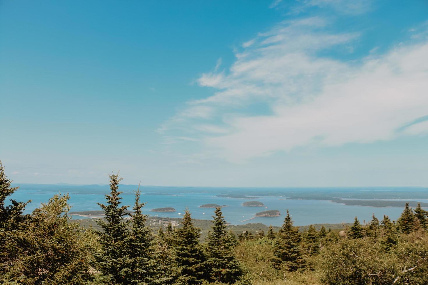 Trees on island during day photo