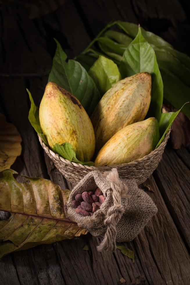 fruta de cacao, granos de cacao crudos y mazorcas de cacao foto